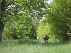 Cher Rando VTT Espace VTT FFC Entre Bourges Menetou Salon Sancerre