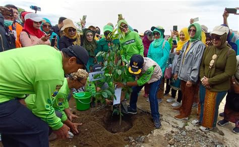 Libatkan Pasukan Merah Gandeng Kader Lingkungan Alfamart Tanam Pohon