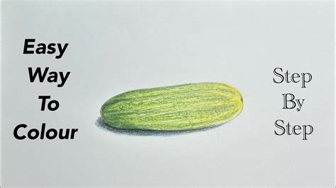 How To Draw A Cucumber How To Draw Cucumber Step By Step