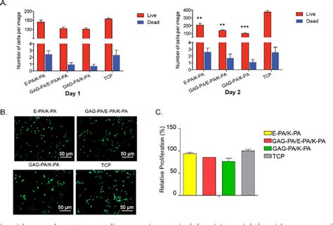 Figure From Chondrogenic Differentiation Of Mesenchymal Stem Cells On