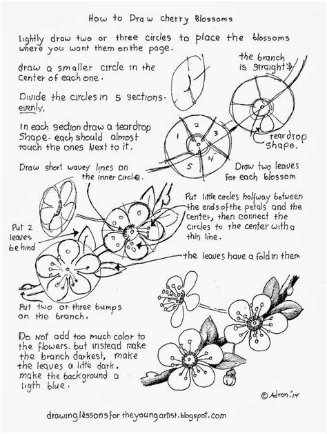 358 best images about drawing flowers on Pinterest | Daffodils, How to ...