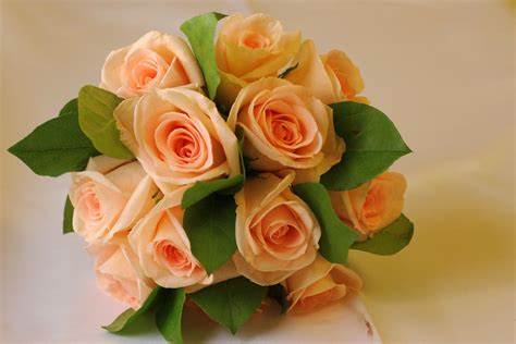 peach roses by moonberry on DeviantArt