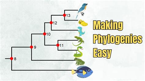 How To Read A Phylogenetic Tree Introduction 5 Exercises YouTube