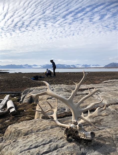 fieldwork in a harsh environment by Raphael von Büren U Flickr