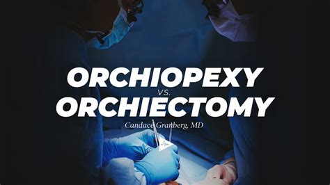 Orchiopexy Vs Orchiectomy By Candace F Granberg Md Preview Youtube