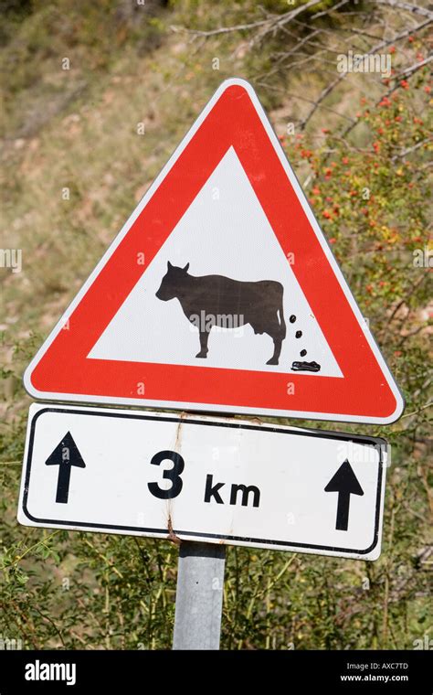 Cow Mess Sign With Picture Of Cow Defecating Gran Sasso Parco Nazionale