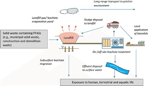 Environmental Pathways Of Per And Polyfluoroalkyl Substances Pfass