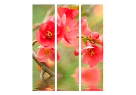 Room Divider Azalea Reflected In The Water Red Flower Composition