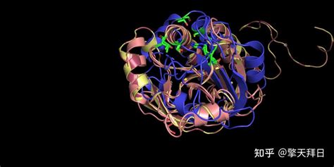 同源建模预测蛋白质三维结构（swiss Model Pymol零基础教程） 知乎
