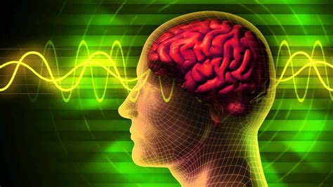 Evolve Your Brain Book Review Lifegarden Productions