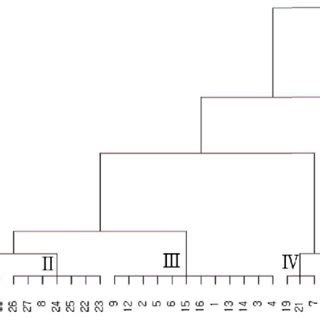 Dendrogram Illustrating Morphological Relationships Among Accessions