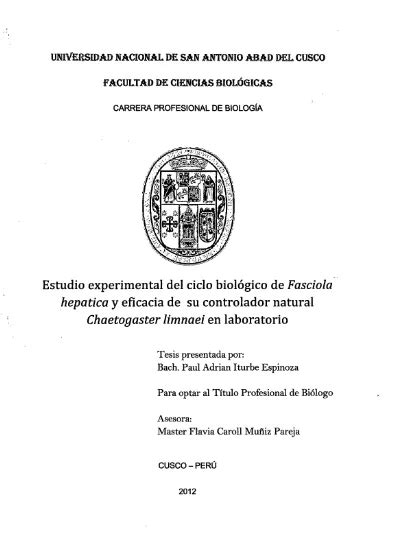 Estudio Experimental Del Ciclo Biol Gico De Fasciola Hep Tica Y