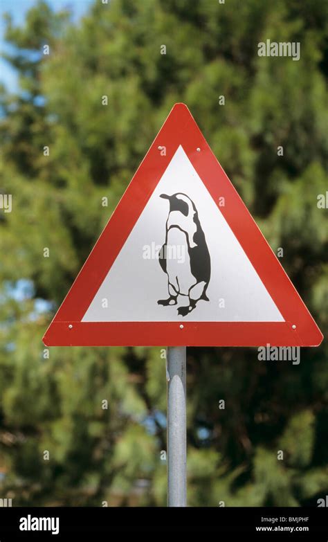 Penguins Warning Sign Hi Res Stock Photography And Images Alamy