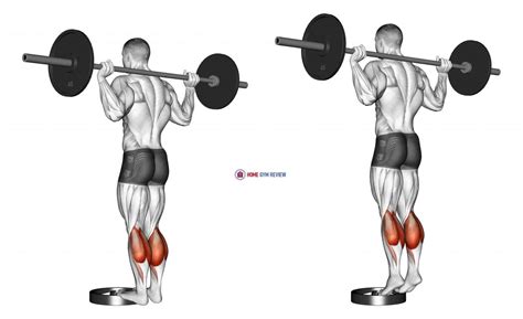 Barbell Standing Calf Raise Home Gym Review