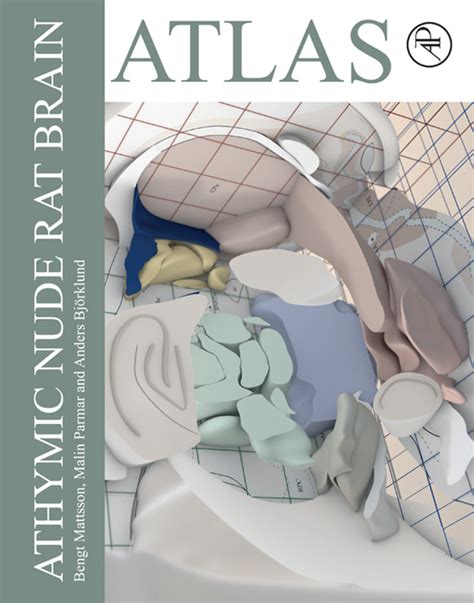 Athymic Nude Rat Brain Atlas 1st Edition PremiumJS Store