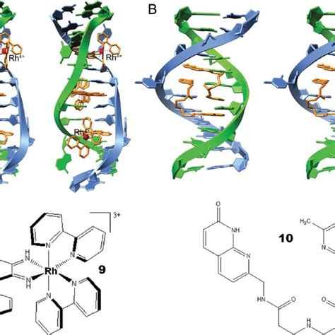 stereo views    simultaneous intercalation