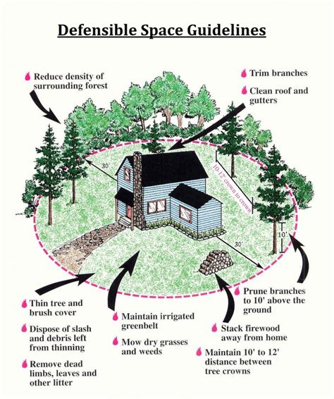 Defensible Space Guidelines | Park City Fire District