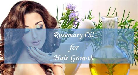 Guide On How To Use Rosemary Oil For Hair Loss Hairy Jimbo