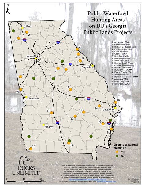 Georgia Public Hunting Land Map - High Castle Map