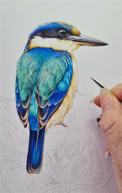 Kingfisher And Lotus Painting In Watercolour Heidi Willis