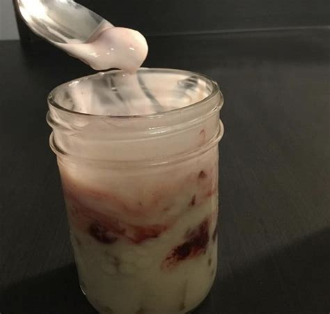 Gruau D Jeuner Au Yogourt Sans Lactose Et Aux Canneberges S Ch Es Les