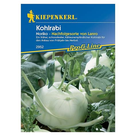 Kiepenkerl Profi Line Gemüsesamen Kohlrabi Noriko Brassica oleracea