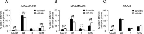 Effect Of Mir C On Cell Cycle Distribution Of Breast Cancer Cells