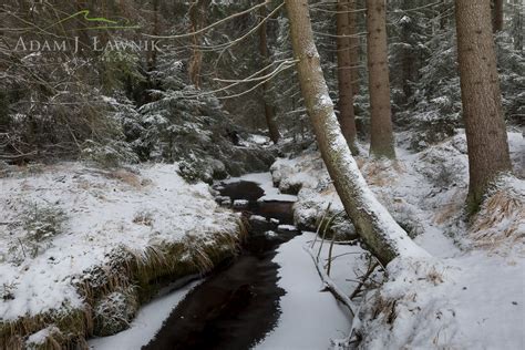 Park Narodowy Gór Stołowych potok Czerwona Woda 1801 00025C