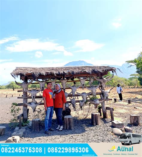 Liburan Ke Taman Nasional Baluran Travel Banyuwangi AUNAL Travel