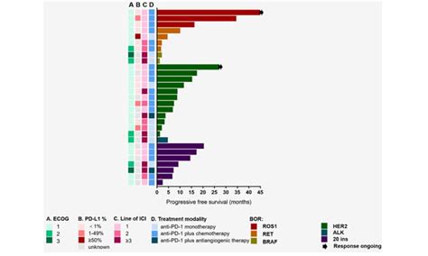 Topic Lung Cancer Drug Resistance