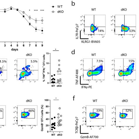 Zfp36 And Zfp36l1 Limit The Anti Viral Cd8 T Cell Effector Response