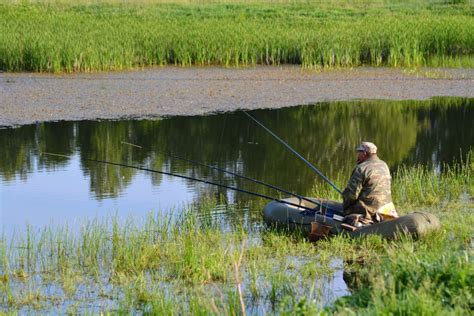 Рыбалка: как ловить рыбу на реке начинающим, ночная рыбалка, как ...