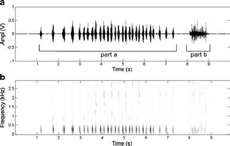 Male Signal Of The 1st Type Ten Second Oscillograms Relative