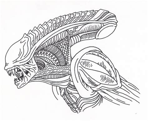 Xenomorph Head Picture Drawing - Drawing Skill