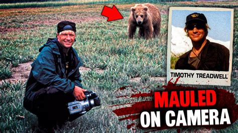 Grizzly Bears BRUTALLY MAULED Timothy Treadwell And Girlfriend On