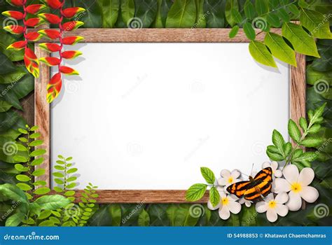 Nature Border With Flower And Green Leaf Stock Photo - Image: 54988853