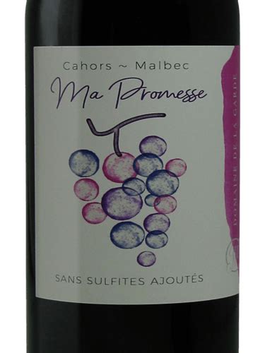 Domaine De La Garde Ma Promesse Sans Sulfite Vivino US