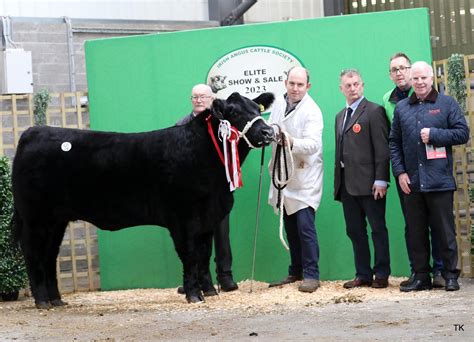 Castlerea Bred Angus Heifer Hits At Elite Sale In Carrick