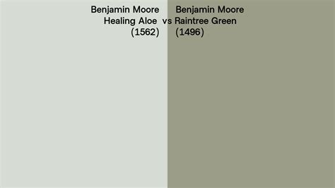 Benjamin Moore Healing Aloe Vs Raintree Green Side By Side Comparison