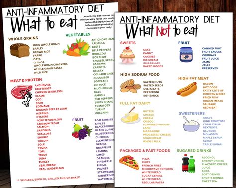 Rat Diet Chart | lupon.gov.ph