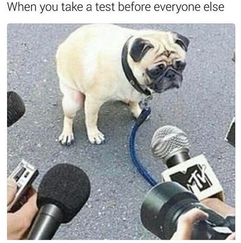 Under pressure : memes