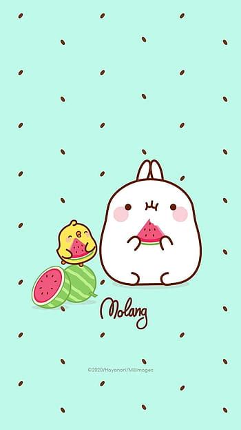 Molang And Piu Piu Hd Phone Wallpaper Pxfuel