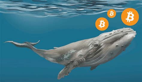 Bitcoin Whales On A Selling Spree Is Price Slump Incoming