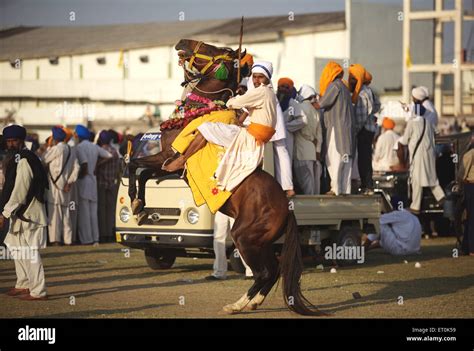 Nihang Or Sikh Warrior On His Horse Before Stunts Perpetual Sikh Guru