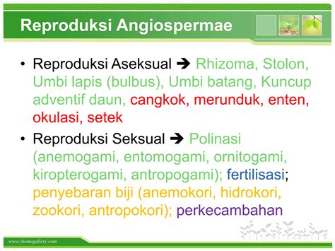 Sistem Reproduksi Tumbuhan Ppt