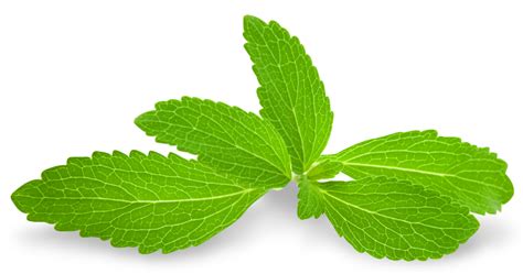 Peppermint Png Transparent Images