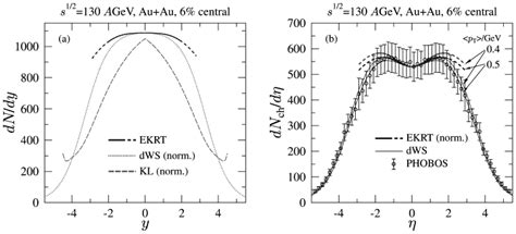 Left Initial Rapidity Distributions DN Dy For The Saturation PQCD