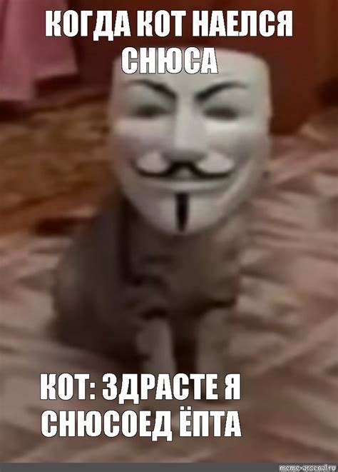 Мем: "КОГДА КОТ НАЕЛСЯ СНЮСА КОТ: ЗДРАСТЕ Я СНЮСОЕД ЁПТА" - Все шаблоны ...