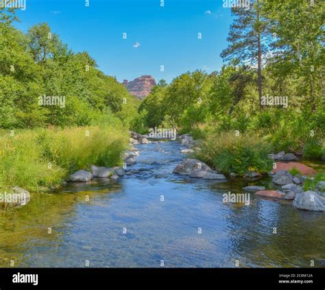 Beautiful Oak Creek Is A Freshwater Spring In The Oak Creek Canyon Of Coconino National Forest