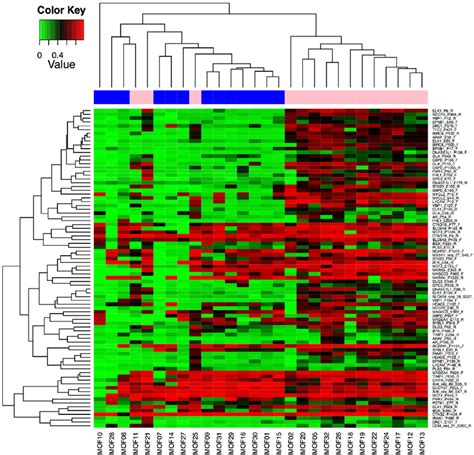 Gender Heatmap Of X Linked Cpg Loci Dna Methylation Is Involved In The